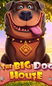 The Big Dog House